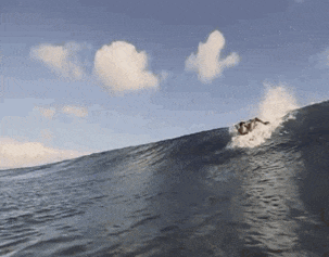 a person is riding a wave in the ocean on a sunny day