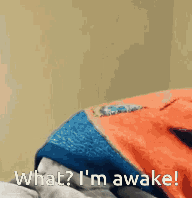 Awake Im Awake GIF - Awake Im Awake I Am Awake GIFs