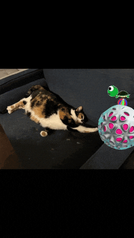 a cat is laying on a couch with a turtle and a frisbee on it