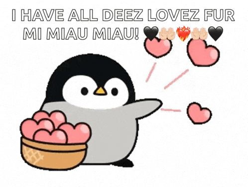 a penguin holding a bowl of hearts with the words i have all deez lovez fur mi miau miau