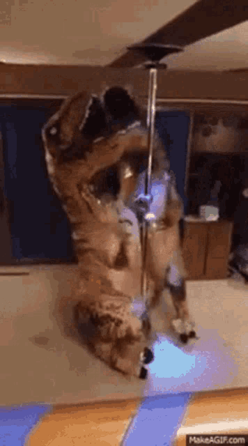 a dog in a t-rex costume is standing on a pole in a living room .