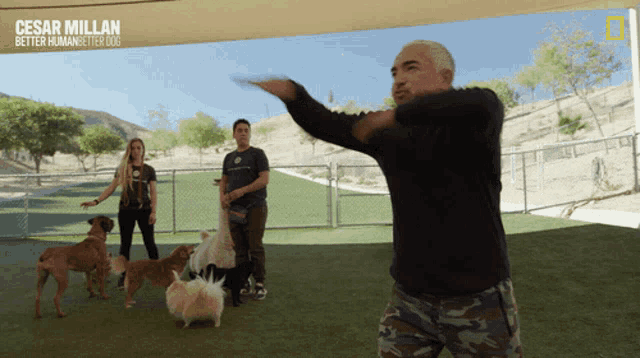 a poster for cesar millan better human better dogs shows a man throwing a frisbee at a group of dogs