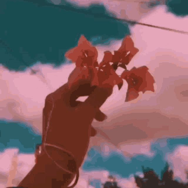 a person 's hand is holding a bunch of flowers in front of a cloudy sky