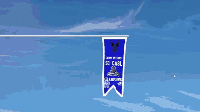 a banner that says champions hangs from a pole