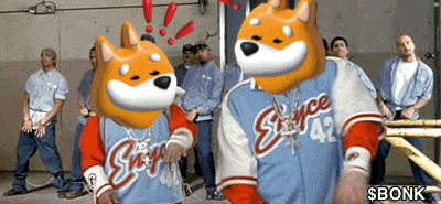 a group of cartoon dogs wearing shirts that say stance 42