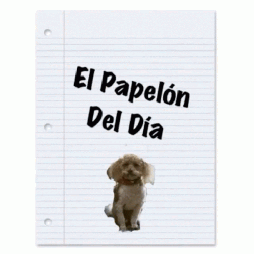 Papelon Bob GIF - Papelon Bob Dog GIFs