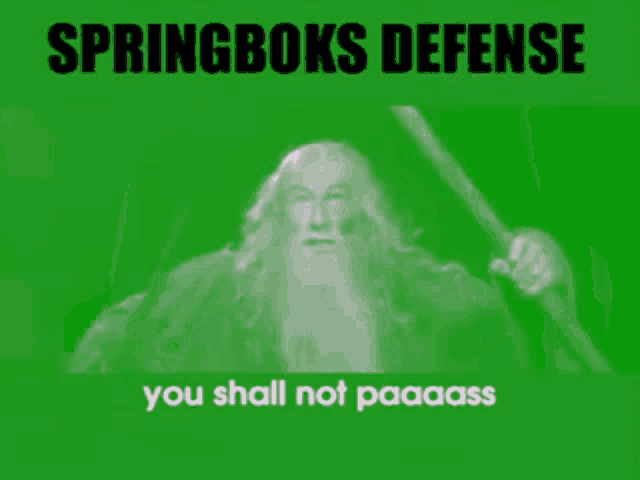springboks defense you shall not paaaass is written on a green background