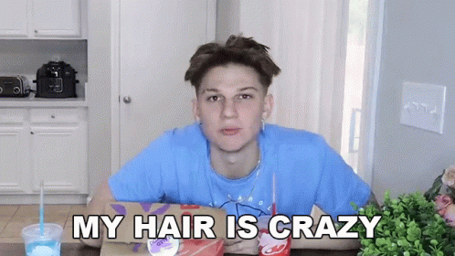 My Hair Is Crazy Conner Bobay GIF - My Hair Is Crazy Conner Bobay Brittney Britania GIFs