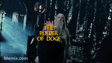 a meme shows a man with a beard and the words " the power of doge " on the bottom