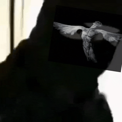 a black and white photo of a bird with the words femboy in white