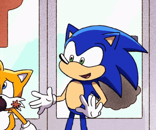 a cartoon drawing of sonic the hedgehog and tails the cat
