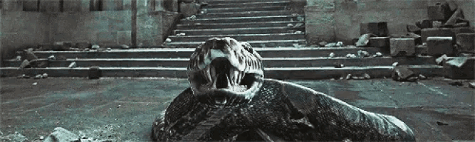 a snake is laying on the ground in front of a staircase .