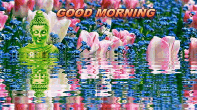 Good Morning Buddha GIF - Good Morning Buddha Water GIFs