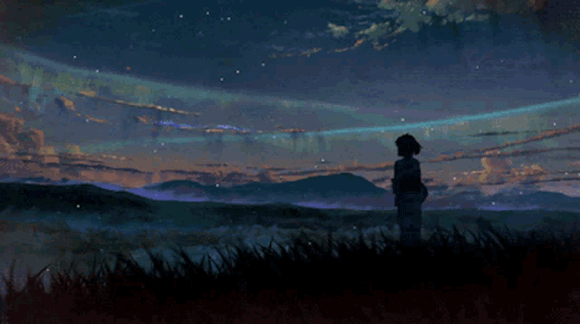 a painting of a person standing in the grass looking at a starry sky