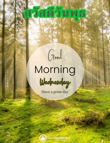 a picture of a forest with the words good morning wednesday on it