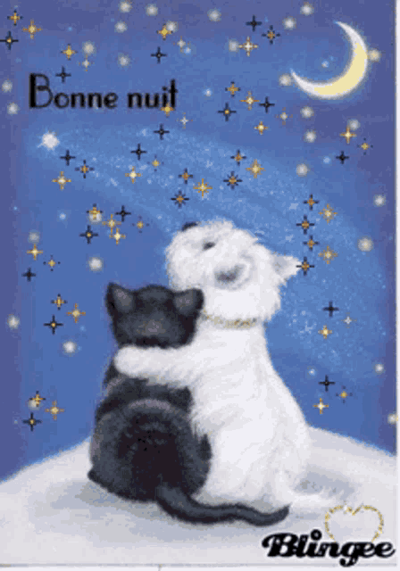 a picture of two cats hugging each other with bonne nuit written on the bottom