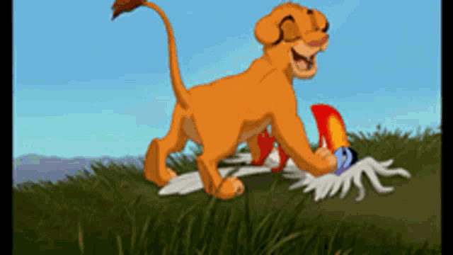 Lion King Funny GIF - Lion King Funny Zazu GIFs