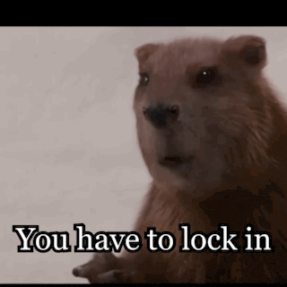 a close up of a beaver with the words " you have to lock in " below it