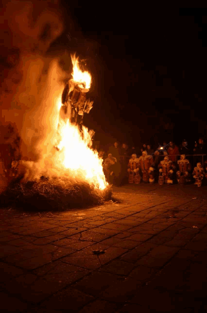 a group of people are standing around a fire at night