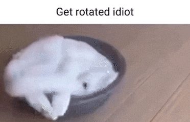 a white cat is laying in a bowl with the words get rotated idiot above it .