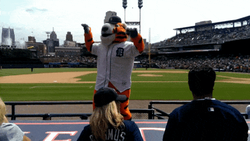 Detroit Tigers Paws GIF - Detroit Tigers Paws Tigers GIFs