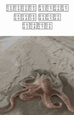 a picture of an octopus with numbers on it and a picture of an octopus with numbers on it