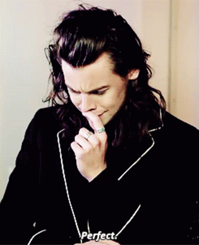 Harry Styles Perfect GIF