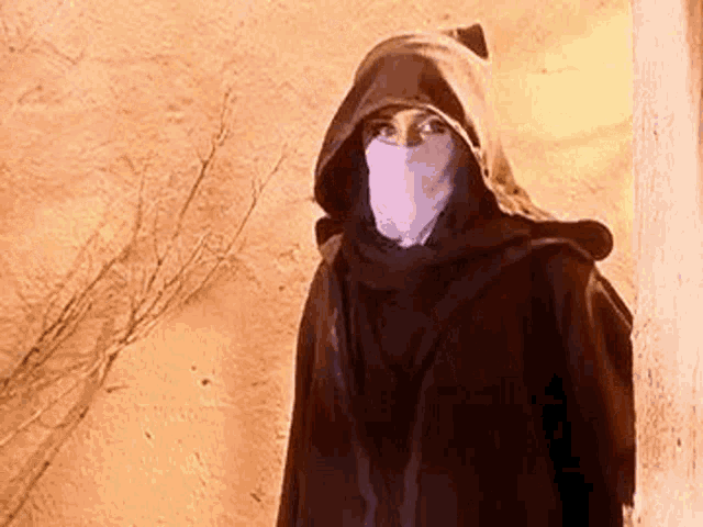 a woman wearing a hooded cape and a purple mask is standing next to a tree .