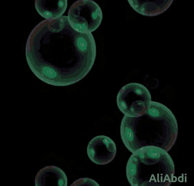 green soap bubbles on a black background with the name aliabdi on the bottom