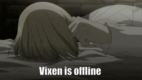 a person laying on a bed with the words " vixen is offline " written below them