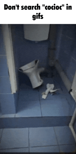 a broken toilet in a bathroom with the caption " do n't search cocioc " in gifs