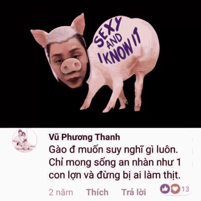 a picture of a pig with sexy and i know it written on its back