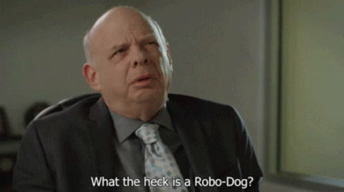 Robodog Shawn Wallace GIF - Robodog Shawn Wallace What The Heck GIFs
