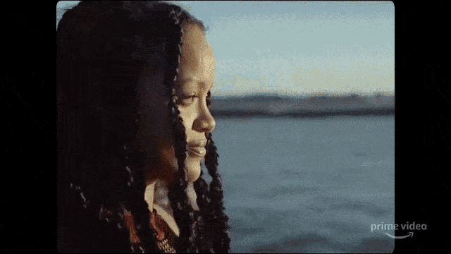 a girl with braids is standing in front of a body of water and looking at the water .