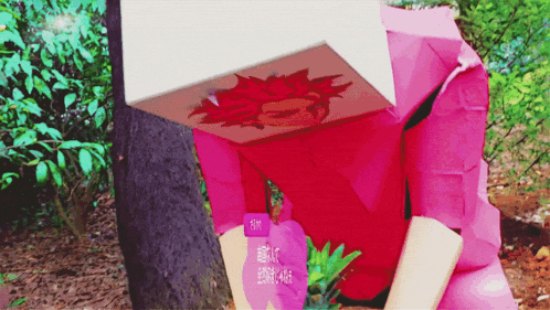 a person in a pink outfit with a box on their head that says am