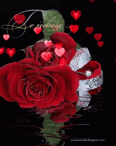 Rose Love GIF - Rose Love Hearts GIFs