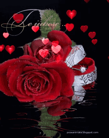 a picture of red roses with hearts and a ring that says " te iubesc "