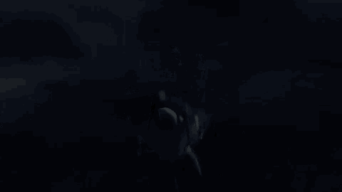 a man is carrying a woman in his arms in a dark room .