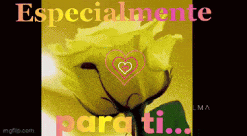a picture of a yellow rose with the words especialmente para ti written below it