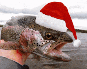 Trout Christmas GIF - Trout Christmas Jolly GIFs