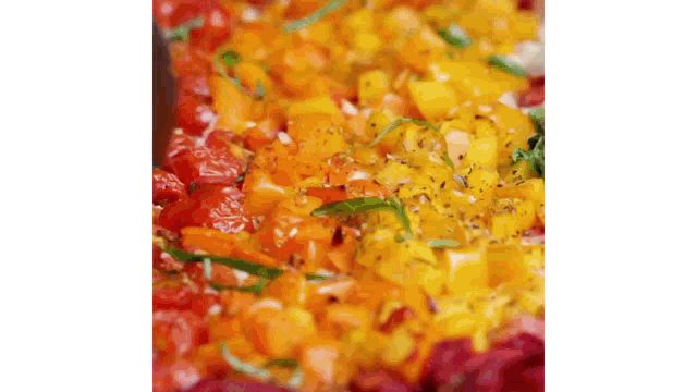 a close up of a plate of food with tomatoes , peppers and other vegetables .