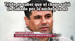 El Chapo GIF - Elchapo Elchapoguzman Sinaloa GIFs