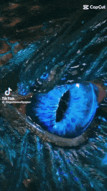 a blue background with the word capcut at the top