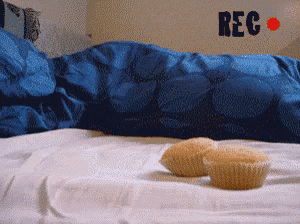 two cupcakes are sitting on a bed with a rec sign in the background
