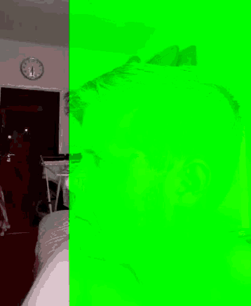 a picture of a man 's face with a green background