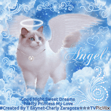 a picture of a cat with angel wings and a halo says good night sweet dreams