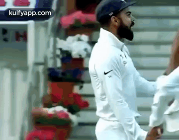 Divided By Ipl United By India Trending GIF - Divided By Ipl United By India Trending Cricket GIFs