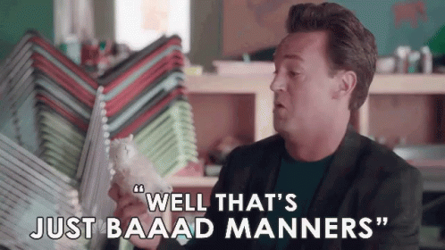 Don'T Be Rude GIF - Bad Manners Matthew Perry Rude GIFs