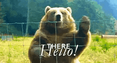 a bear is standing behind a fence waving its paw and says there hello !
