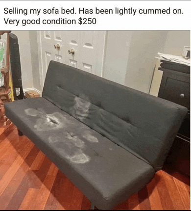 a couch that has been lightly cummed on is for sale for 250 dollars